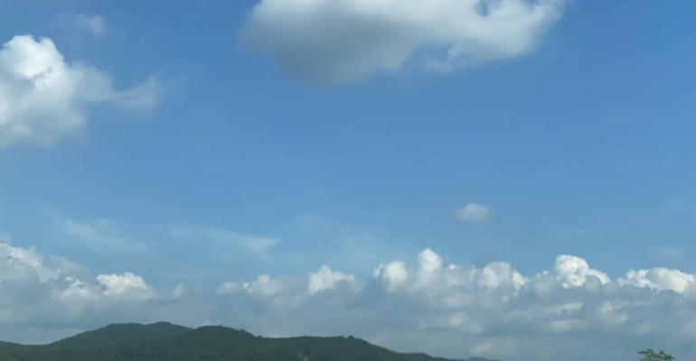 打造沈陽網站制作H5響應式網站，讓企業的業務無處不在！